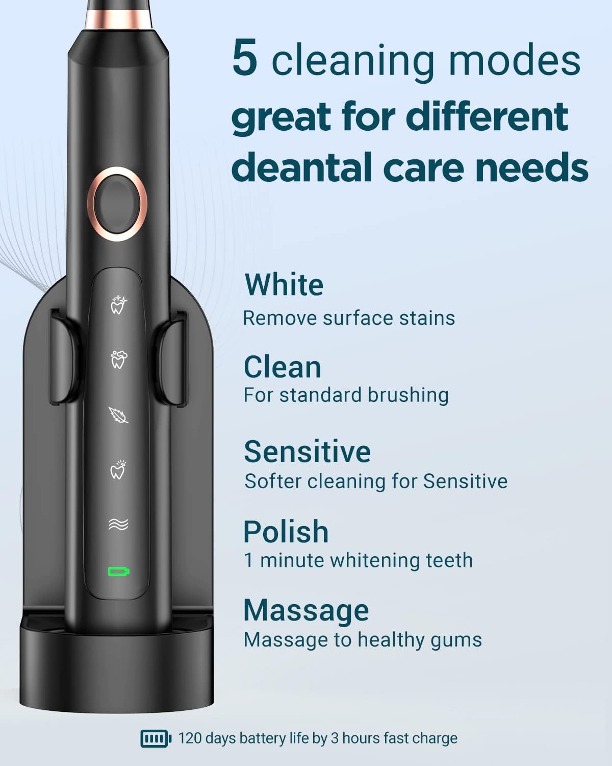 Sonic Electric Toothbrush for Adults - Rechargeable with 8 Brush Heads & Travel Case,Teeth Whitening , Power with Holder, 3Hours Charge for 120 Days - Black