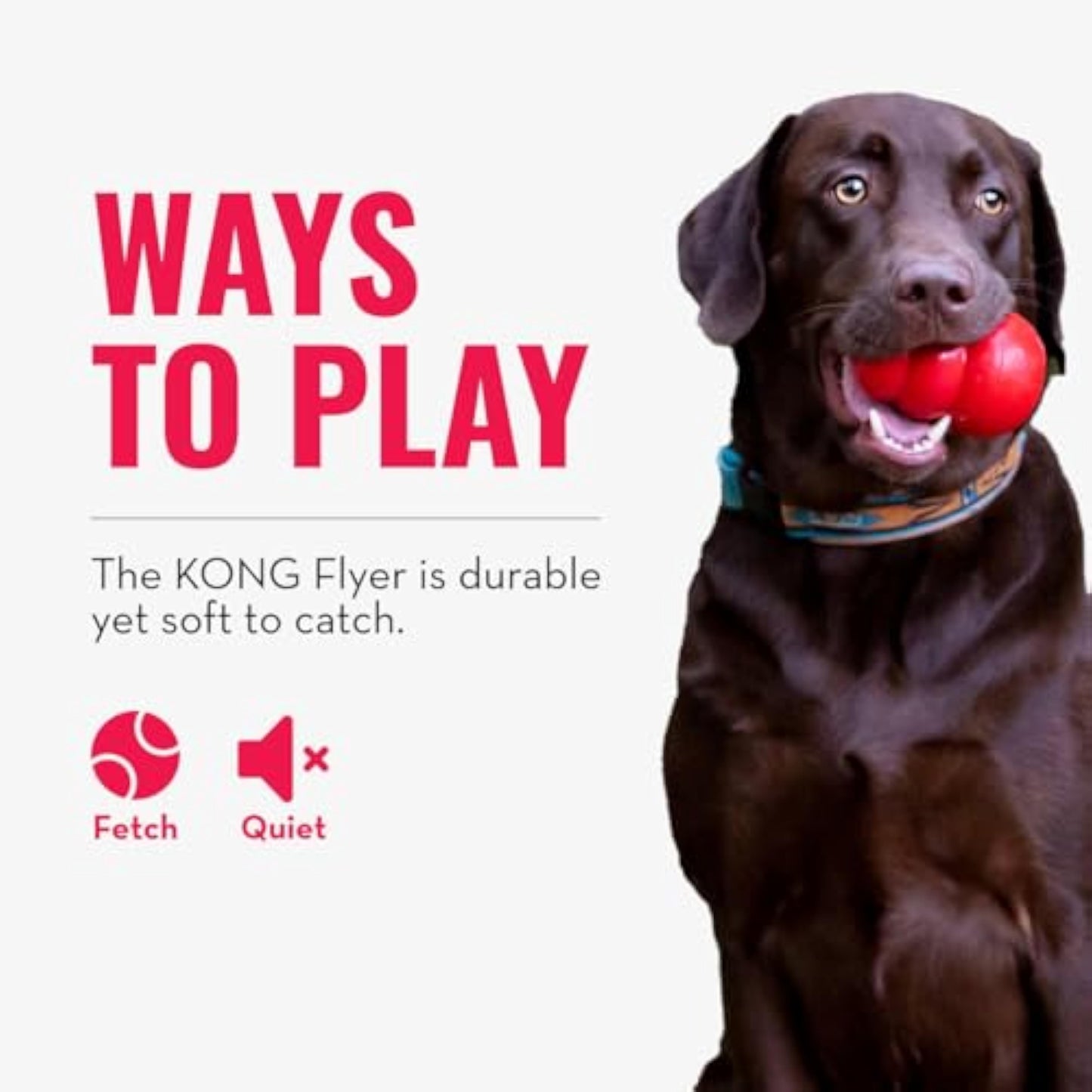 KONG Flyer - Durable Dog Toy for Outdoor Playtime - Natural Rubber Flying Disc, Dog Toy for Fetch - Safer Disc for Healthy Activity - for Medium/Large Dogs - New