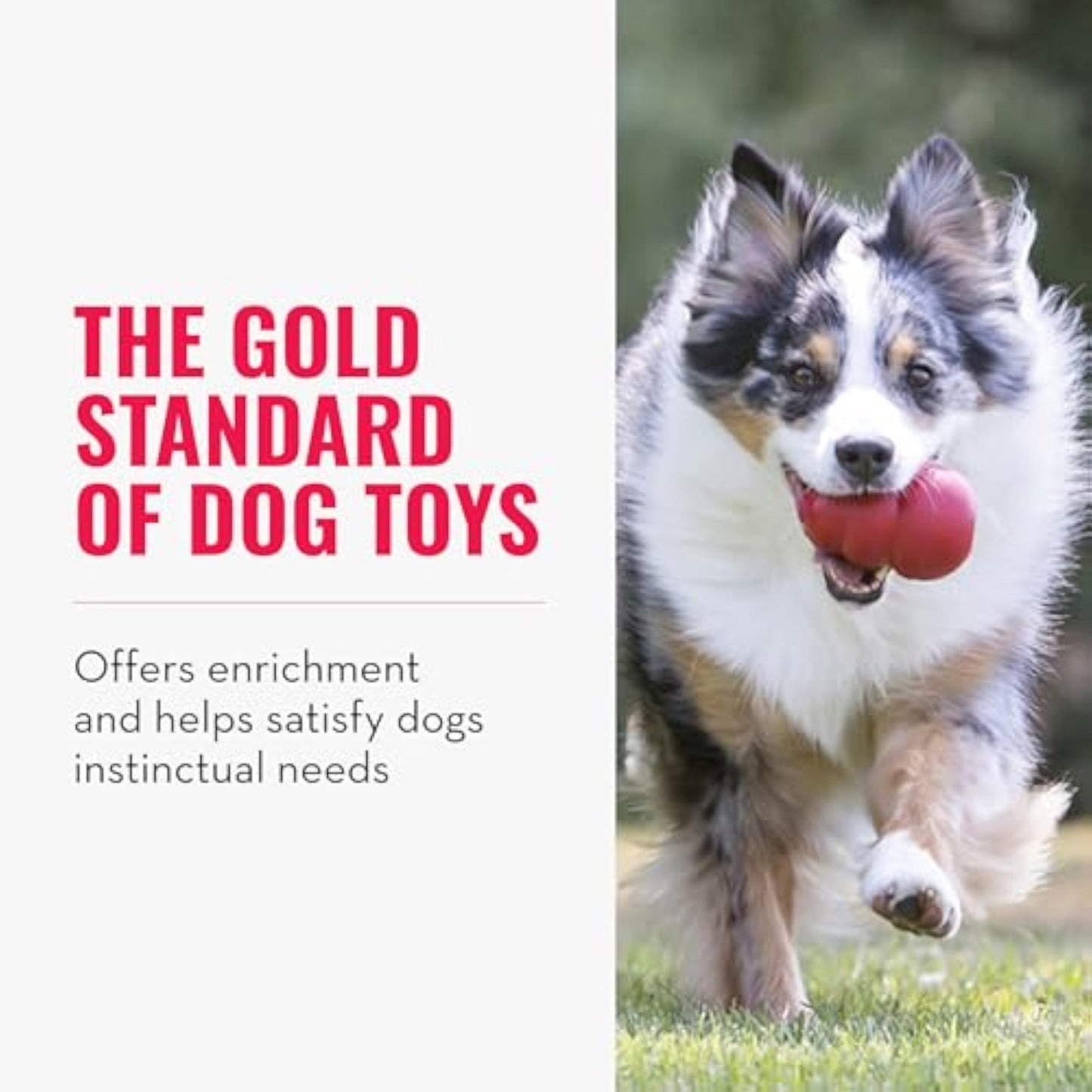KONG Classic Stuffable Dog Toy - Fetch & Chew Toy for Dogs - Treat-Filling Capabilities & Erratic Bounce for Extended Play Time - Durable Natural Rubber Material - for Large Dogs (Pack of 2) - New