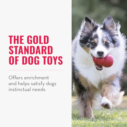 KONG Classic Stuffable Dog Toy - Fetch & Chew Toy for Dogs - Treat-Filling Capabilities & Erratic Bounce for Extended Play Time - Durable Natural Rubber Material - for Large Dogs (Pack of 2) - New
