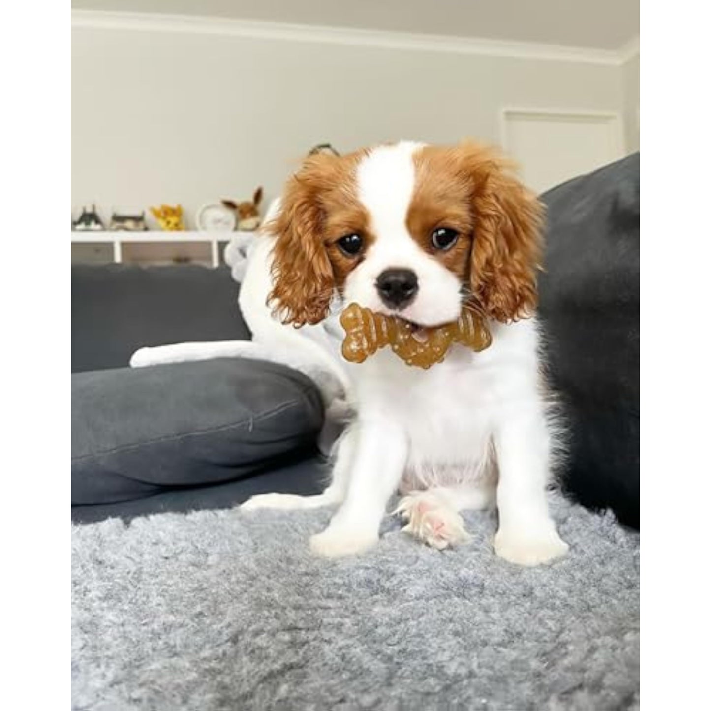 Nylabone Ring Bone Chew Toy for Puppies, Puppy Teething Toys, Puppy Enrichment Toys, Chicken Flavor, X-Small Dogs - Up to 15 lbs, 1 Count - New