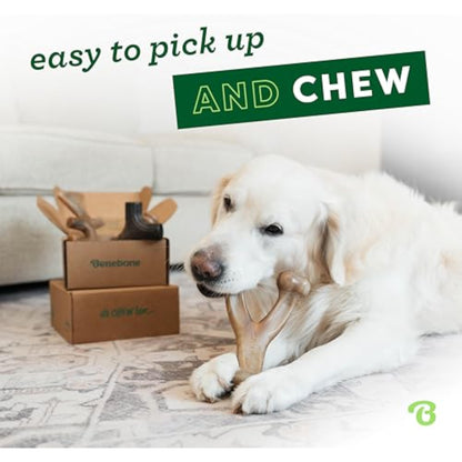 Benebone Small 4-Pack Dog Toys for Aggressive Chewers – Durable Dog Bones, Made in USA – Dog Toys for Small Dogs Under 30 lbs - New