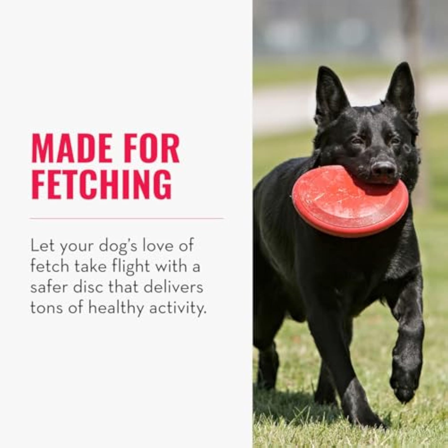 KONG Flyer - Durable Dog Toy for Outdoor Playtime - Natural Rubber Flying Disc, Dog Toy for Fetch - Safer Disc for Healthy Activity - for Medium/Large Dogs - New