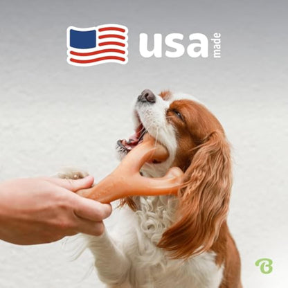 Benebone Wishbone Durable Dog Chew Toy for Aggressive Chewers, Real Bacon, Made in USA, Medium - New