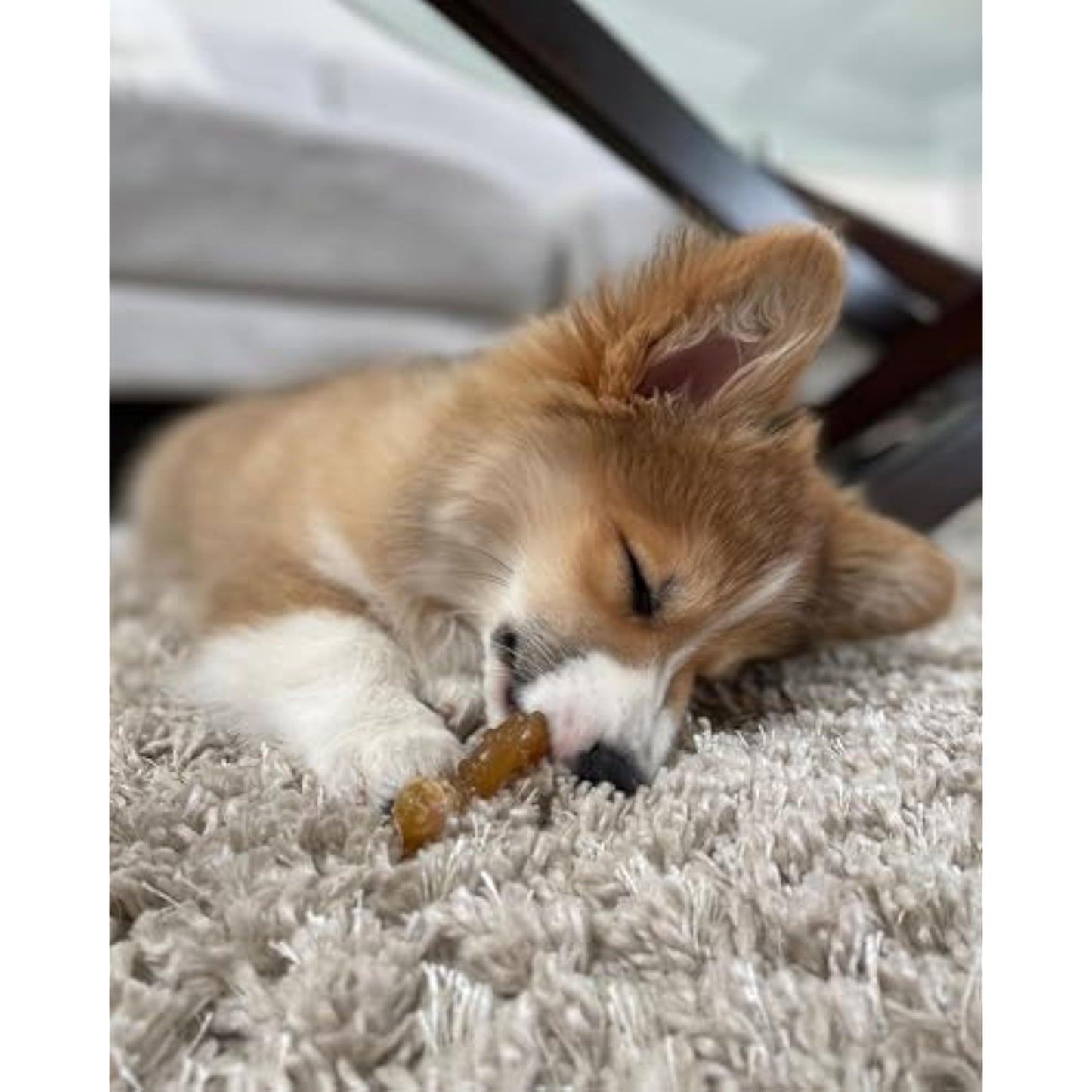 Nylabone Ring Bone Chew Toy for Puppies, Puppy Teething Toys, Puppy Enrichment Toys, Chicken Flavor, X-Small Dogs - Up to 15 lbs, 1 Count - New