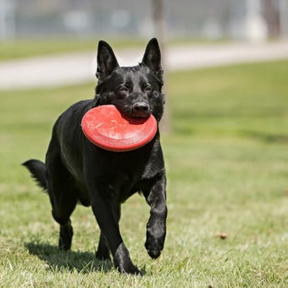 KONG Flyer - Durable Dog Toy for Outdoor Playtime - Natural Rubber Flying Disc, Dog Toy for Fetch - Safer Disc for Healthy Activity - for Medium/Large Dogs - New