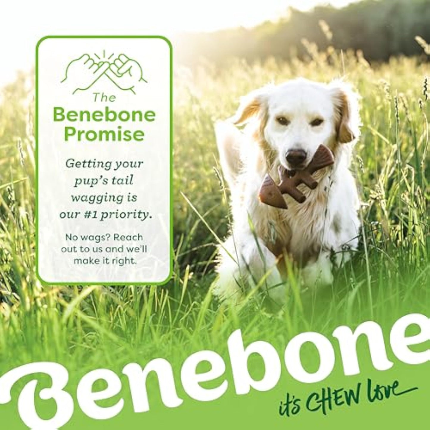 Benebone Small 4-Pack Dog Toys for Aggressive Chewers – Durable Dog Bones, Made in USA – Dog Toys for Small Dogs Under 30 lbs - New
