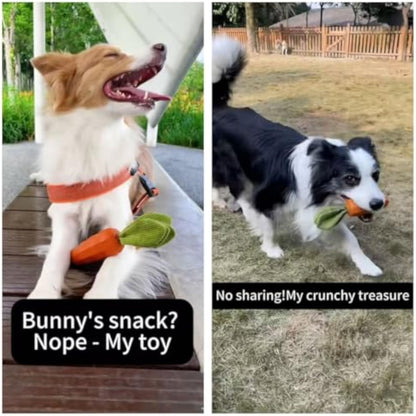 MewaJump Dog Squeaky Chew Toys for Aggressive Chewers, Rubber Carrot Dog Toys for Training and Cleaning, Durable Interactive Tough Dog Toy for Puppy Medium Dogs - New