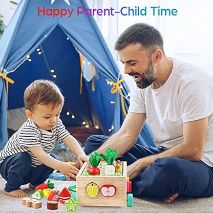 Toddlers Montessori Wooden Educational Toys for Baby Boys Girls Age 1 2 3 Year Old, Shape Sorting Toys 1st One First Birthday Girl Gifts for Kids 1-3, Wood Preschool Learning Fine Motor Skills Game - New