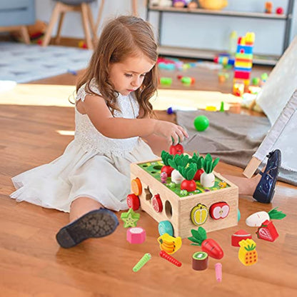 Toddlers Montessori Wooden Educational Toys for Baby Boys Girls Age 1 2 3 Year Old, Shape Sorting Toys 1st One First Birthday Girl Gifts for Kids 1-3, Wood Preschool Learning Fine Motor Skills Game - New