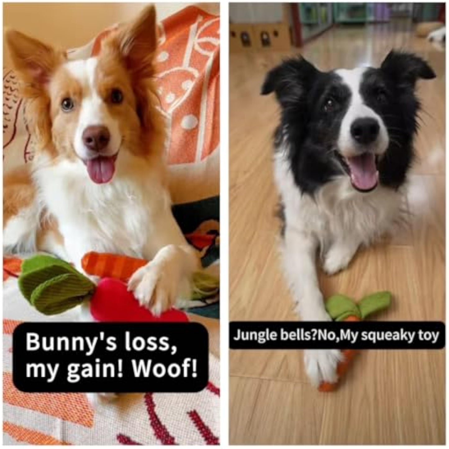 MewaJump Dog Squeaky Chew Toys for Aggressive Chewers, Rubber Carrot Dog Toys for Training and Cleaning, Durable Interactive Tough Dog Toy for Puppy Medium Dogs - New
