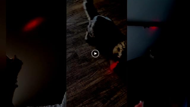 TBTeek Cat Toys, Rechargeable, 3 Light Modes & 5 Fun Patterns, Portable Interactive Kitten Pet Dog Cat Mouse Toy for Fun Chase Play Exercise - New