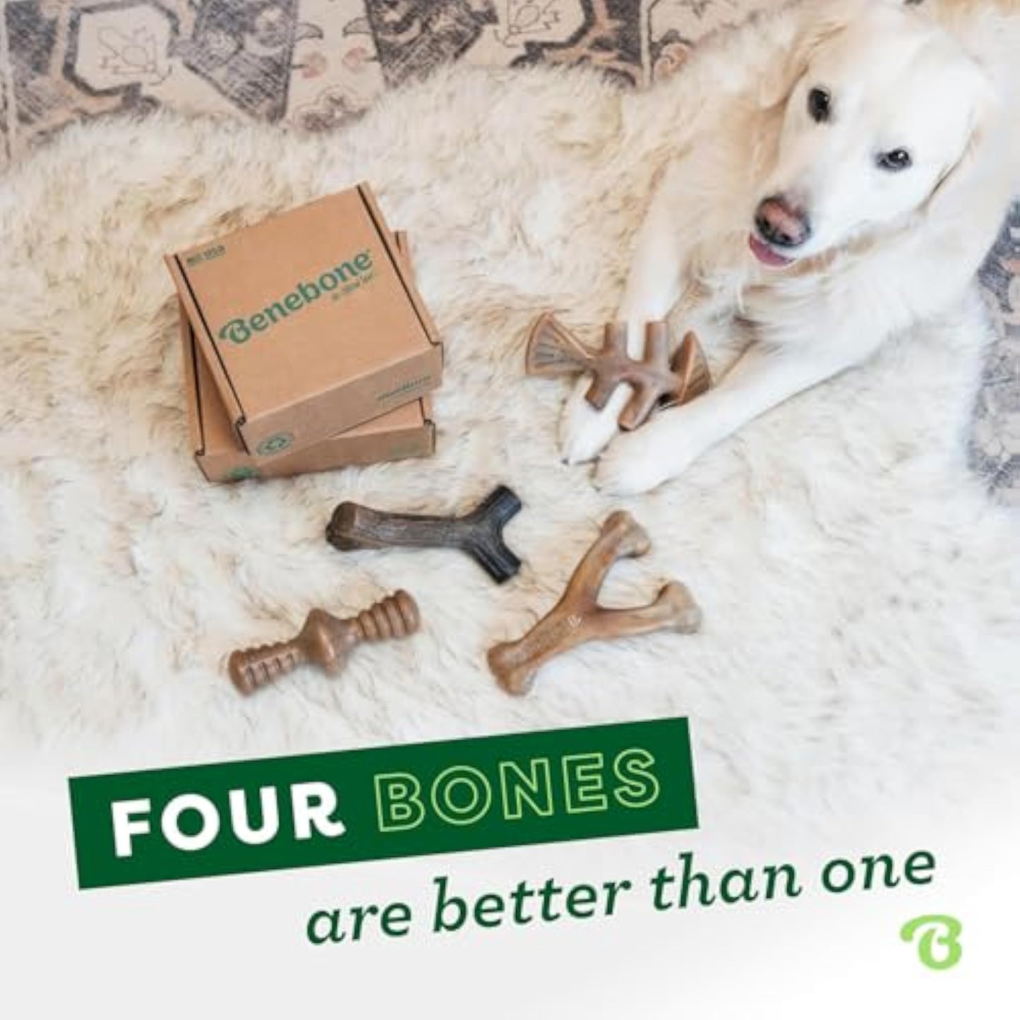 Benebone Small 4-Pack Dog Toys for Aggressive Chewers – Durable Dog Bones, Made in USA – Dog Toys for Small Dogs Under 30 lbs - New