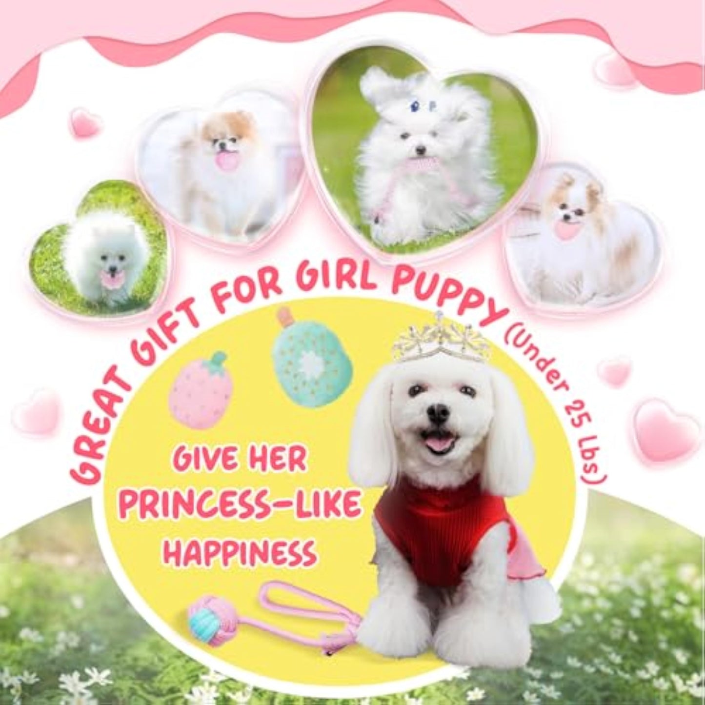 XIUGOAL Pink Puppy Toys for Boredom - 23 Pack Puppy Chew Toys for Teething, Interactive Dog Toys for Puppies, Cute Small Dog Toys with Treat Ball, Squeaky Dog Chew Toys and Ropes - New