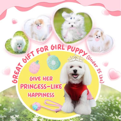 XIUGOAL Pink Puppy Toys for Boredom - 23 Pack Puppy Chew Toys for Teething, Interactive Dog Toys for Puppies, Cute Small Dog Toys with Treat Ball, Squeaky Dog Chew Toys and Ropes - New