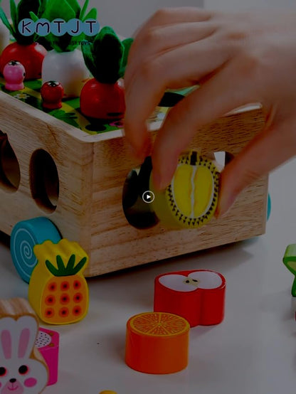 Toddlers Montessori Wooden Educational Toys for Baby Boys Girls Age 1 2 3 Year Old, Shape Sorting Toys 1st One First Birthday Girl Gifts for Kids 1-3, Wood Preschool Learning Fine Motor Skills Game - New
