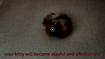 Potaroma Cat Toys Chew Ropes 3Pcs with Refillable Natural Catnip, Safe Teeth Cleaning Toy for Indoor Kittens, Interactive Cat Nip Kitty Toys for All Breeds 19.5 Inches - New